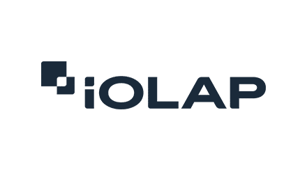 iOLAP