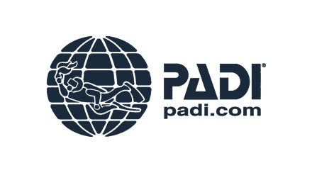 Padi