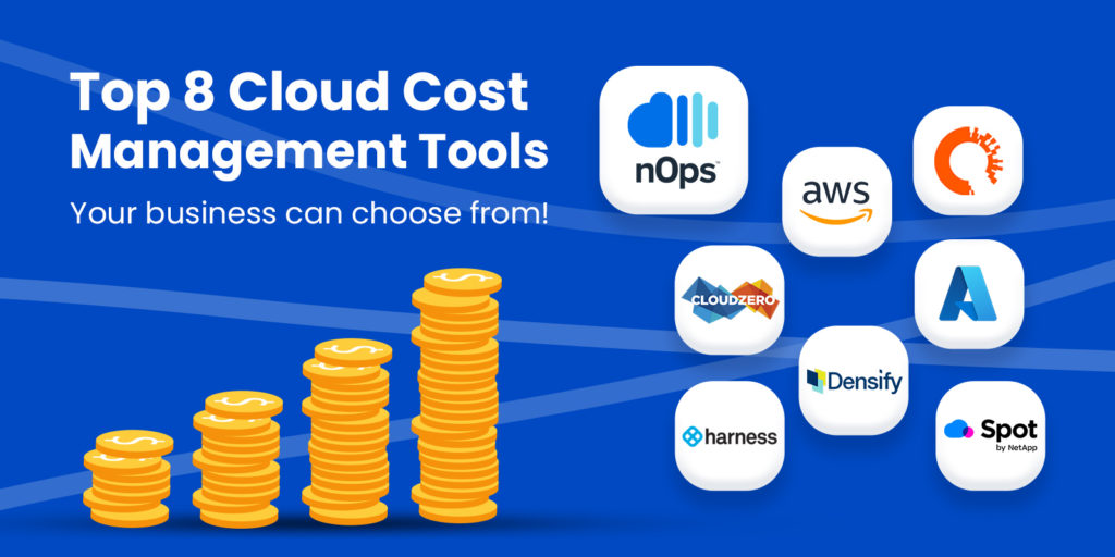 Evaluating cloud cost management tools