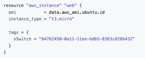 The image above shows an example of the Terraform configuration viz specified tag