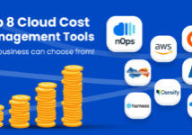 Cloud-cost-management-software-tools